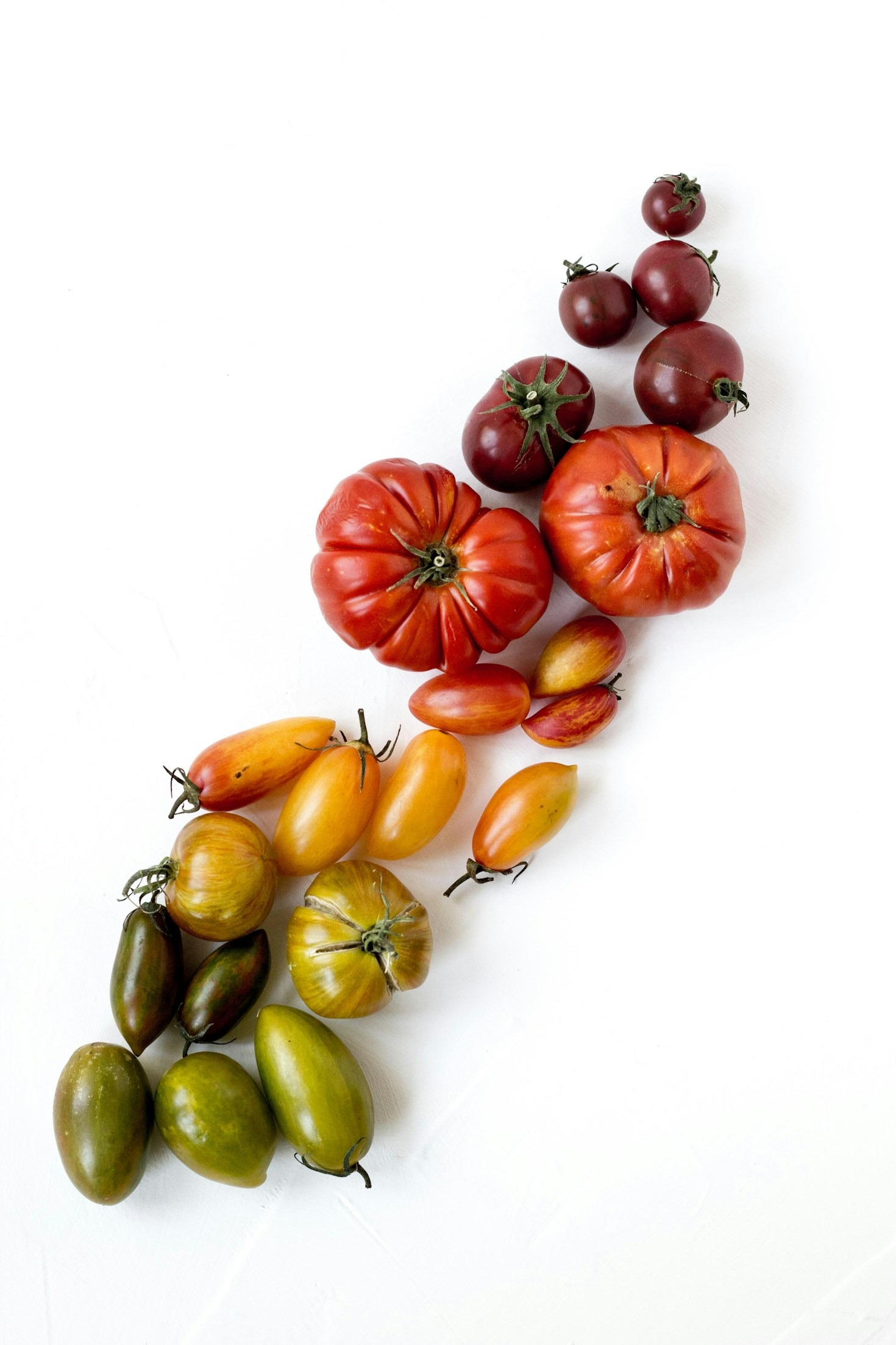 10 Steps to Start Your Organic Garden at Home